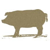 A golden silhouette of a Berkshire pig.